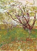 Vincent Van Gogh, Cherry Tree